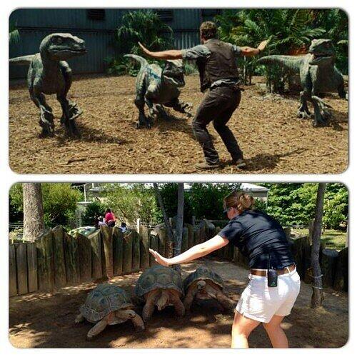 #JurassicZoo: Wenn Jurassic World Wirklichkeit wird