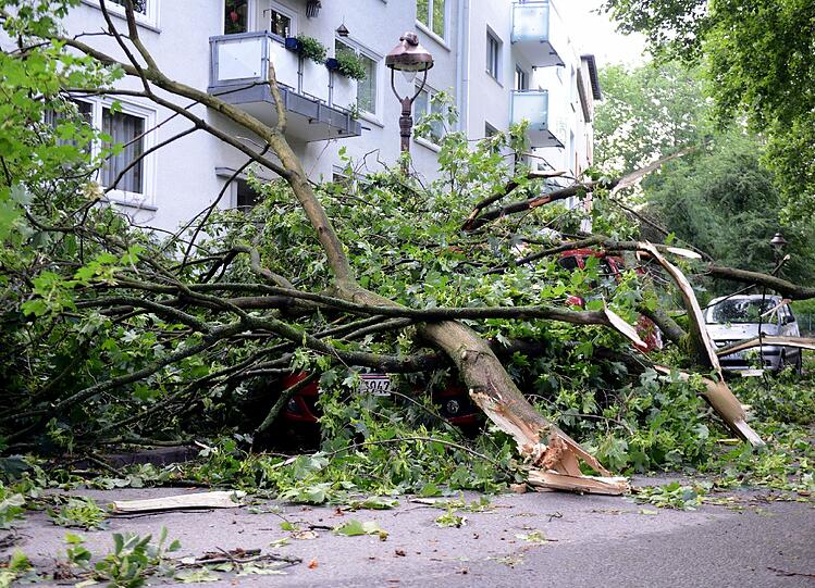 Was aussieht wie ein sehr großer Haufen Gartenabfall ist eigentlich ein Auto. Der Wagen wurde bei dem Sturm unter Ästen begraben.
