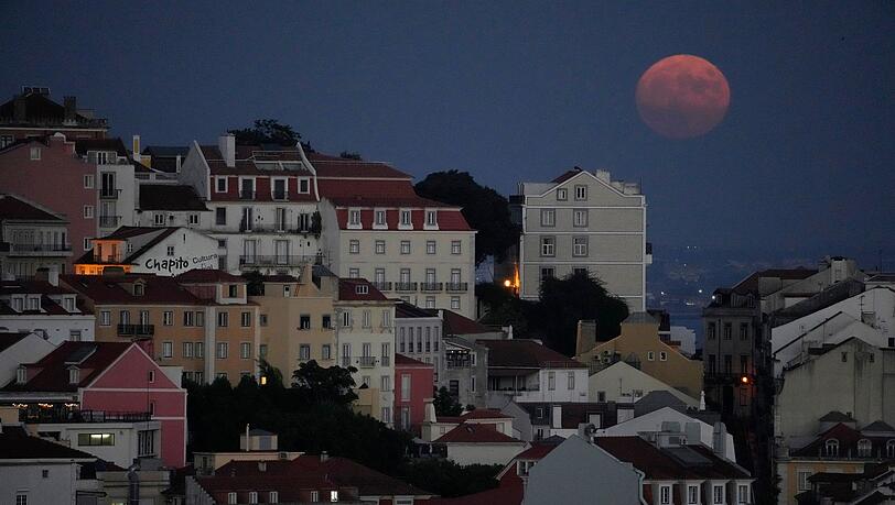 Nach der Mutter wurde nicht nur in Portugal fieberhaft gesucht. (Symbolbild) Nach der Mutter wurde nicht nur in Portugal fieberhaft gesucht. (Symbolbild)
