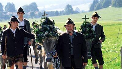 Viehscheid in Pfronten, Foto: TVB Viehscheid in Pfronten, Foto: TVB