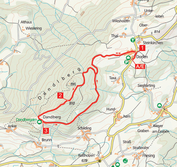 Tour 3: Dandlberg - Mystische Waldpfade
