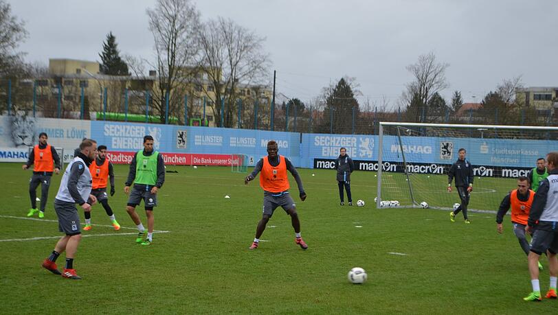 Gleich in der ersten Einheit zeigt Coach Pereira dem Neuzugang wie's läuft beim Löwen - die Bilder vom ersten Boya-Training. Gleich in der ersten Einheit zeigt Coach Pereira dem Neuzugang wie's läuft beim Löwen - die Bilder vom ersten Boya-Training.