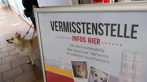 Ein Plakat mit der Aufschrift "Vermisstenstelle ... Infos hier" steht im Tierheim München im Gang.