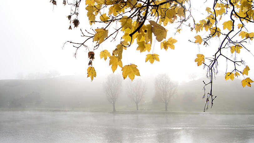 Nebel über dem Olympiasee im Münchner Olympiapark.