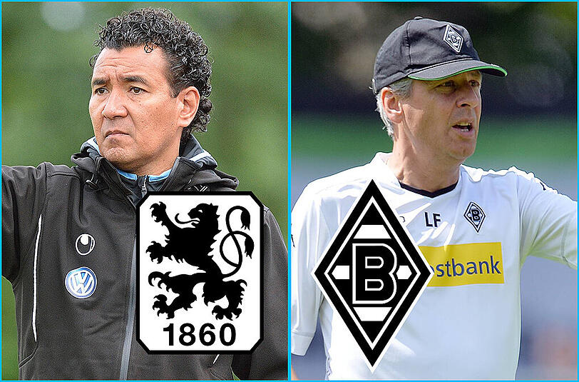 In Heimstetten kommt es zum Aufeinandertreffen: Ricardo Moniz und seinen Löwen gegen Lucien Favre und seine Fohlen. Das Spiel im AZ-Liveticker!