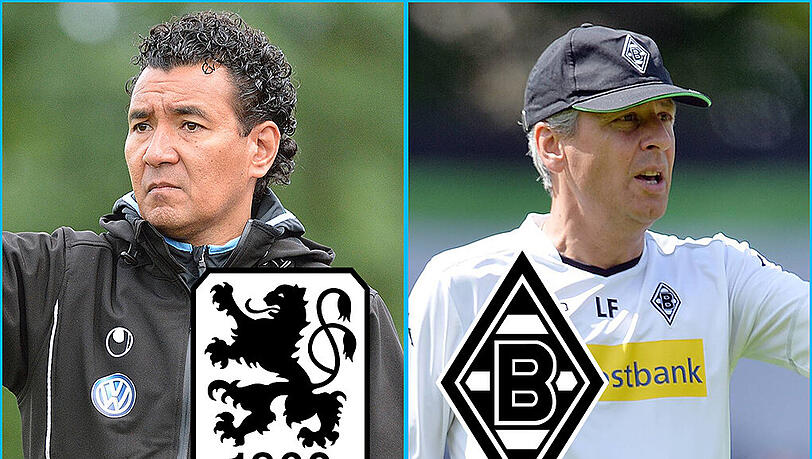 In Heimstetten kommt es zum Aufeinandertreffen: Ricardo Moniz und seinen Löwen gegen Lucien Favre und seine Fohlen. Das Spiel im AZ-Liveticker! In Heimstetten kommt es zum Aufeinandertreffen: Ricardo Moniz und seinen Löwen gegen Lucien Favre und seine Fohlen. Das Spiel im AZ-Liveticker!