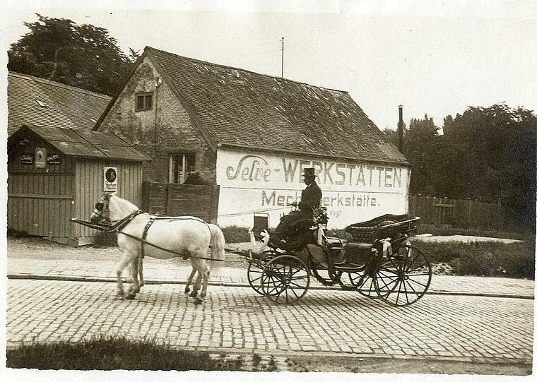 Vor 100 Jahren Stadtalltag: Schimmel ziehen eine leichte Kutsche.