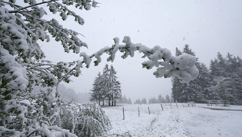 In höheren Lagen könnten laut dem DWD einige Zentimeter Neuschnee fallen. In höheren Lagen könnten laut dem DWD einige Zentimeter Neuschnee fallen.