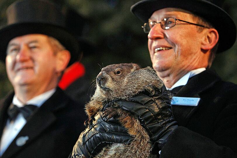 Ron Ploucha vom Groundhog Club hält Punxsutawney Phil am Murmeltiertag in die Höhe.