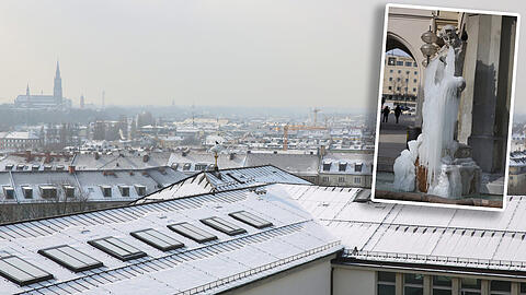 München bibbert in diesen Tagen. Doch die Temperaturen sind nicht nur für uns Menschen unangenehm, sie haben auch ganz andere Auswirkungen.