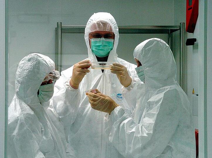 Mediziner betrachten Zellkulturen: Stammzellenforschung ist umstritten
