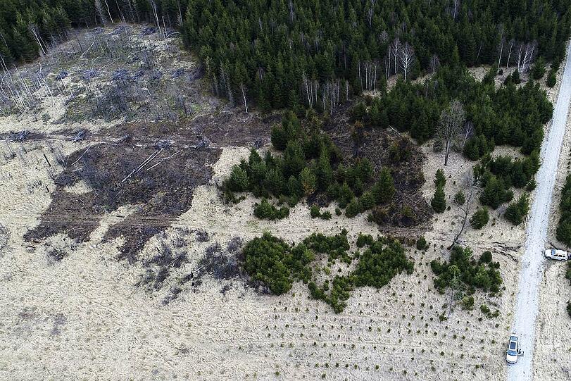 Die Waldbrand-Serie im Münchner Osten geht weiter.