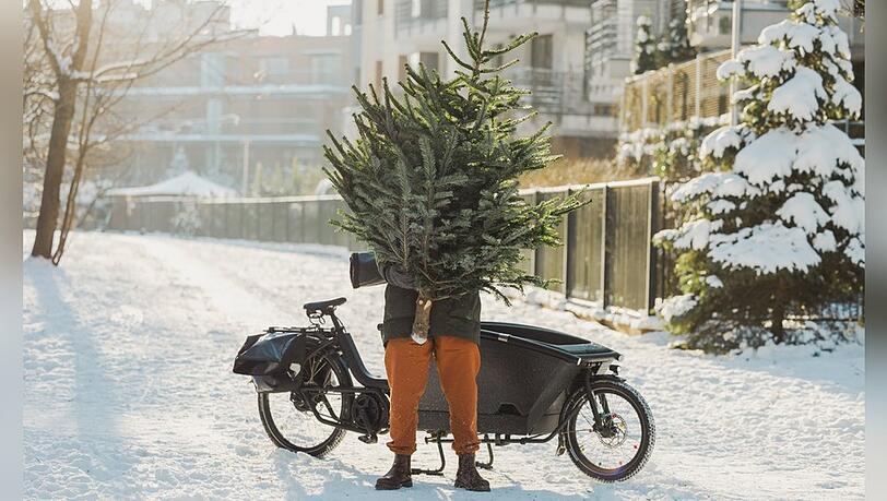 Bei der Wahl des Weihnachtsbaums sollte nicht nur die Optik, sondern auch die Umweltverträglichkeit mitgedacht werden.