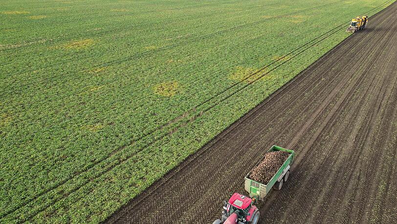 Die Preise für viele Agrarprodukte sind derzeit unter Druck. (Archivbild) Die Preise für viele Agrarprodukte sind derzeit unter Druck. (Archivbild)