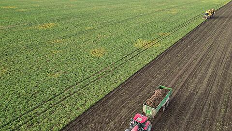 Die Preise f&uuml;r viele Agrarprodukte sind derzeit unter Druck. (Archivbild)