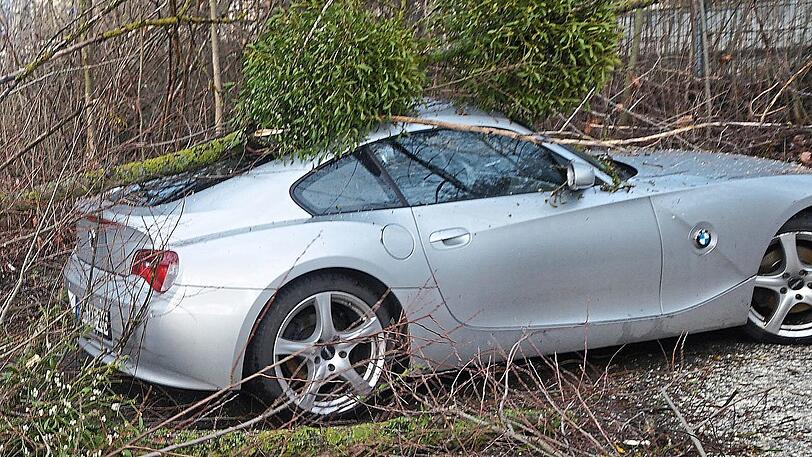 Karlsfeld: Ein Baum ist in der Schwabenbächlstraße auf einen BMW gestürzt.