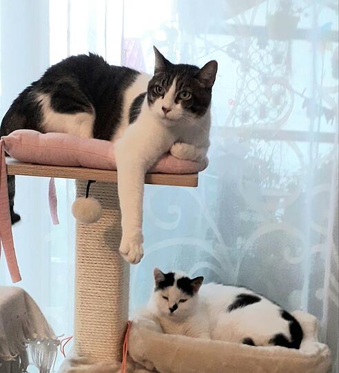 Floc und Lucy