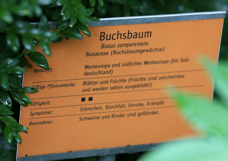Auflösung siehe Tafel