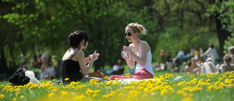 In den Münchner Parks, wie hier im Englischen Garten, lassen sich die Menschen die Sonne auf den Bauch scheinen.