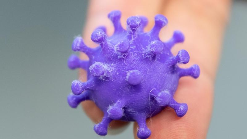 Eine Medizinisch-technische Assistentin hält auf zwei Fingern ein 3D Druck von einem Coronavirus. Eine Medizinisch-technische Assistentin hält auf zwei Fingern ein 3D Druck von einem Coronavirus.