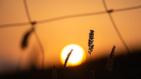 Die untergehende Sonne an einem Deich in Schleswig-Holstein.