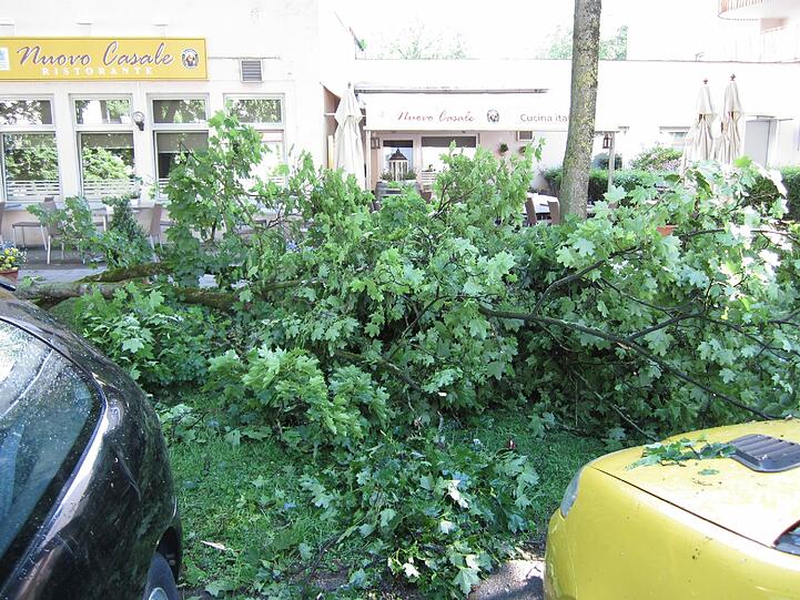 Die Bilder vom beim Gewitter völlig zerstörten Auto und dem unheilbringenden Ast.