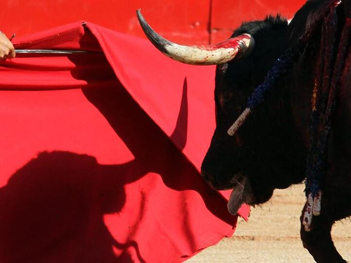 Nach zwei Jahren ohne Stierkämpfe sollen erstmals wieder Stiere im Coliseo Balear auf Mallorca getötet werden.