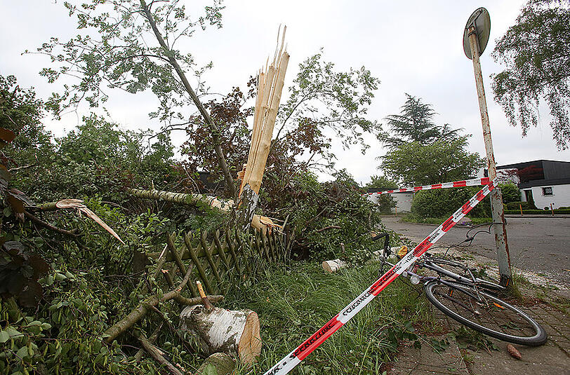 Die Schäden sind enorm, viele Bäume wurden entwurzelt. Menschen wurden bei dem Unwetter nicht verletzt.