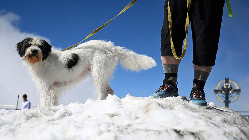 Ein Hund steht mit seinem Halter auf der Zugspitze auf einem Schneehügel bei sonnigem Wetter. Bei der Vorhersage für das Wetter im Winter sind sich die aktuellen Vorhersagen einig. Ein Hund steht mit seinem Halter auf der Zugspitze auf einem Schneehügel bei sonnigem Wetter. Bei der Vorhersage für das Wetter im Winter sind sich die aktuellen Vorhersagen einig.