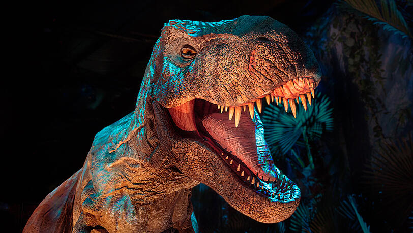 Der Tyrannosaurus Rex.