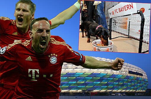Das Orakel hat gesprochen: Der FC Bayern gewinnt das Finale dahoam - die besten Bilder!