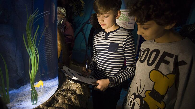 Kinder aus der Klasse 6 des Käthe-Kollwitz-Gymnasiumswaren durften bei der "Fischinventur" von Sea Life dabei sein.