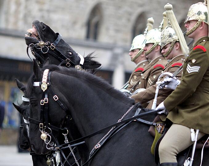 Die Vorbereitungen zur Hochzeit des Jahres in London.