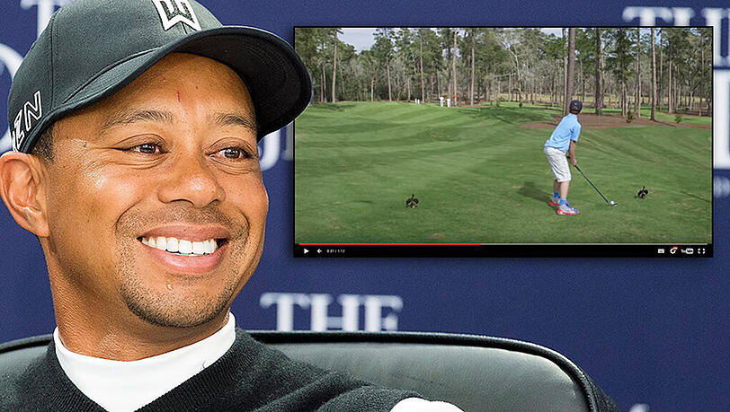 Tiger Woods pausiert derzeit verletzt. Das Hole-in-One des Buben riss ihn trotzdem völlig vom Hocker. Tiger Woods pausiert derzeit verletzt. Das Hole-in-One des Buben riss ihn trotzdem völlig vom Hocker.