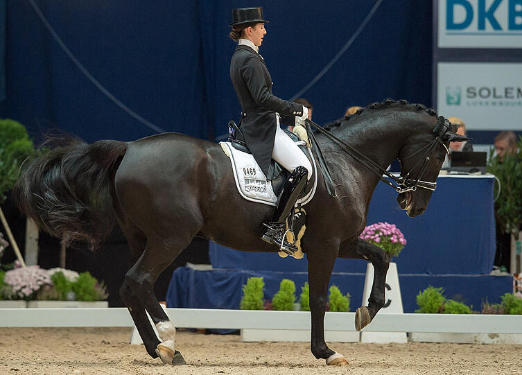 Bei den Munich Indoors musste Lisa Müller jedoch alleine mit Pferd Dave antreten.