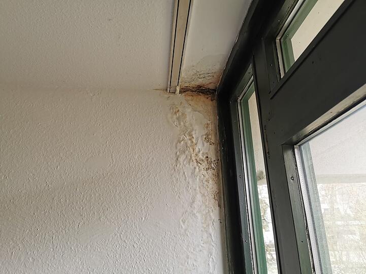 So sah es im Zimmer von Informatikstudent Flo aus, als er ins Haus 24 zog. Er ist Asthmatiker.