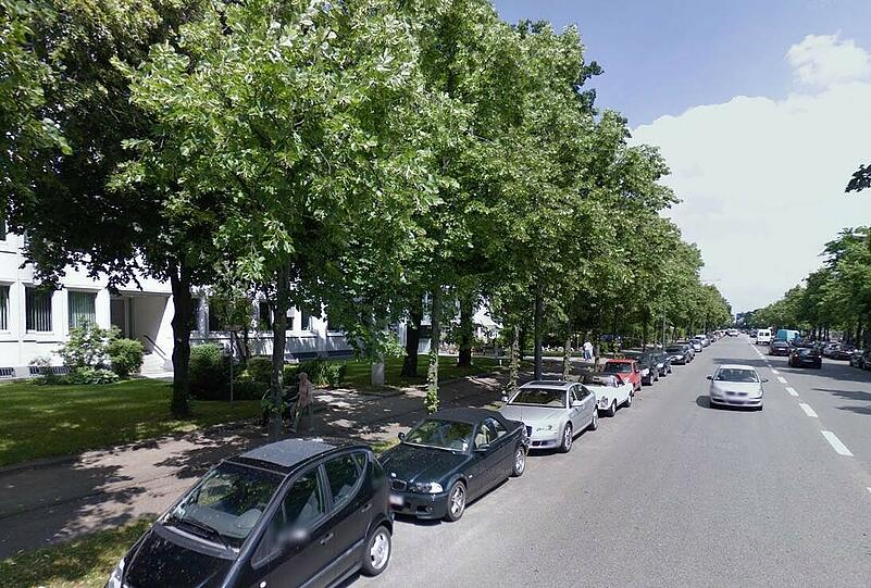 Werbefrei. So wünschen sich die Neuhausener ihre Bäume.