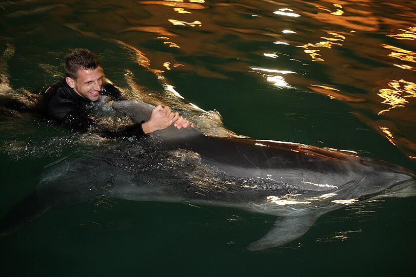 Für die Löwen ging's am Mittwoch noch tierisch zu: Im Delfinarium durften sie mit Flipper & Co. eine Runde schwimmen.