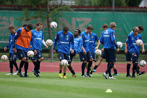 Die Löwen beim Training