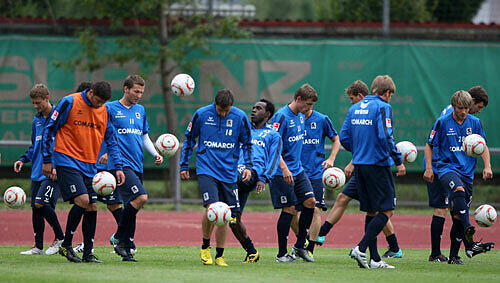 Die Löwen beim Training Die Löwen beim Training