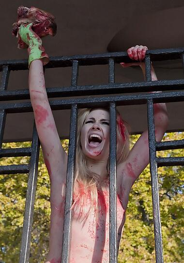 Sie sind wieder unterwegs: Die ukrainische Protestgruppe "Femen", bekannt für ihre "offenherzigen" Protestaktionen, hat wieder viel nackte Haut gezeigt - diesmal im Zoo. Mit ihrem barbusigen Protest im Zoo von Kiew wollten die Aktivistinnen am Donnerstag auf die unsachgemäße Haltung von Tieren in Käfigen aufmerksam machen - die Bilder.