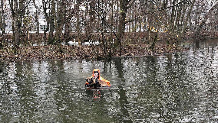 Der Feuerwehrmann watete durch das brusttiefe Wasser zu der Insel, um den Hund zu retten. Der Feuerwehrmann watete durch das brusttiefe Wasser zu der Insel, um den Hund zu retten.