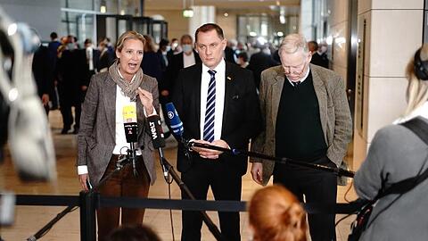 Tino Chupalla, AfD-Parteivorsitzender, zwischen Alice Weidel und Alexander Gauland.