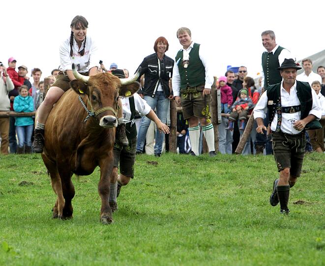 1996 war das Münsinger Ochsenrennen eine beschauliche Gaudi für die Landwirte aus der Gegend. Jetzt sind rund 10.000 Besucher gekommen. Wie Olympia und die Fußball-WM findet auch dieses sportliche Großereignis nur alle vier Jahre statt. Wir waren dabei. Die Bilder von der Gaudi