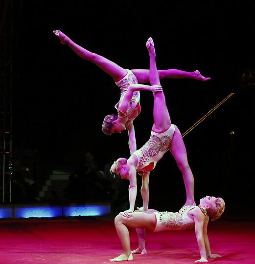 Das neue Winterprogramm des Circus Krone