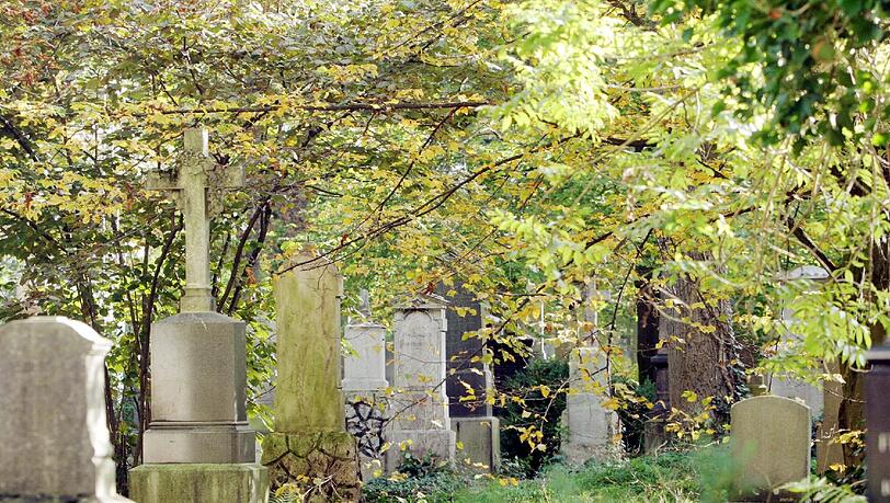 Der Alte Südliche Friedhof hat eine lange Geschichte. Hier ruhen viele bekannte Münchner Persönlichkeiten. Der Alte Südliche Friedhof hat eine lange Geschichte. Hier ruhen viele bekannte Münchner Persönlichkeiten.