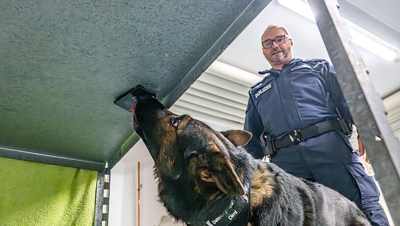 Polizeihund Dimi ist auf Datenträger spezialisiert. Hier findet er eine Festplatte. Dimi ist im Team unterwegs mit seinem Polizeihundeführer Ralf Strasser-Moraras. Polizeihund Dimi ist auf Datenträger spezialisiert. Hier findet er eine Festplatte. Dimi ist im Team unterwegs mit seinem Polizeihundeführer Ralf Strasser-Moraras.