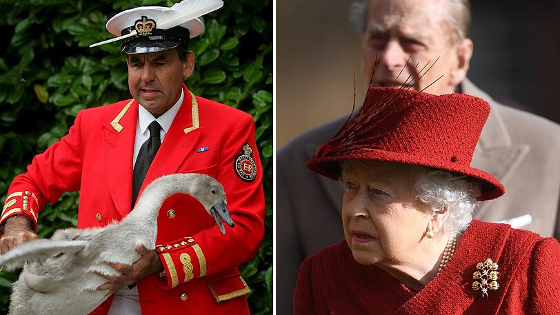 Schwanen-Beauftragten der Queen, David Barber, macht die Vogelgrippe für das Tiersterben verantwortlich.