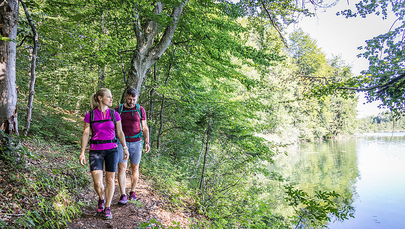 Beim Wandern im Naturschutzgebiet Eggstätt-Hemhofer Seeplatte gibt es jede Menge zu entdecken. Beim Wandern im Naturschutzgebiet Eggstätt-Hemhofer Seeplatte gibt es jede Menge zu entdecken.