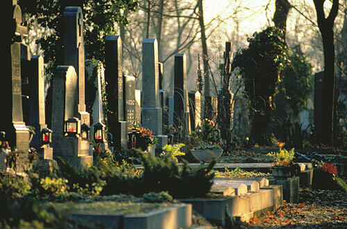Gräberreihe auf dem Zentralfriedhof